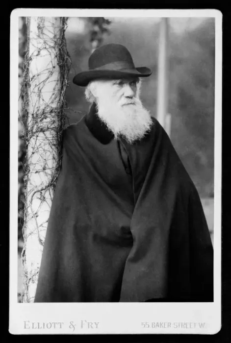 Framed Print : Charles Robert Darwin (1809-1882) Framed Print : Charles Robert Darwin (1809-1882)