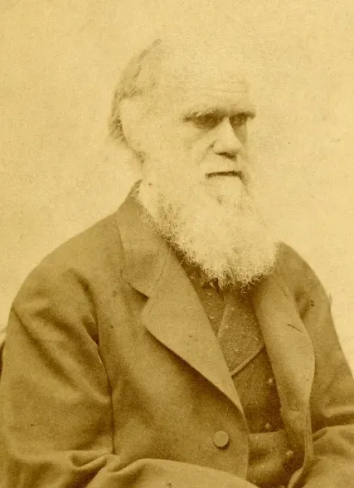 Framed Print : Charles Robert Darwin (1809-1882) Framed Print : Charles Robert Darwin (1809-1882)