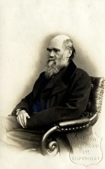Framed Print : Charles Robert Darwin (1809-1882) Framed Print : Charles Robert Darwin (1809-1882)