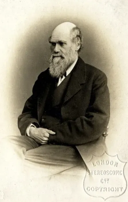 Framed Print : Charles Robert Darwin (1809-1882) Framed Print : Charles Robert Darwin (1809-1882)
