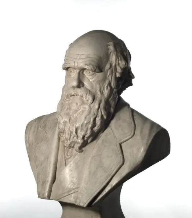 Framed Print : Charles Robert Darwin (1809-1882) Framed Print : Charles Robert Darwin (1809-1882)