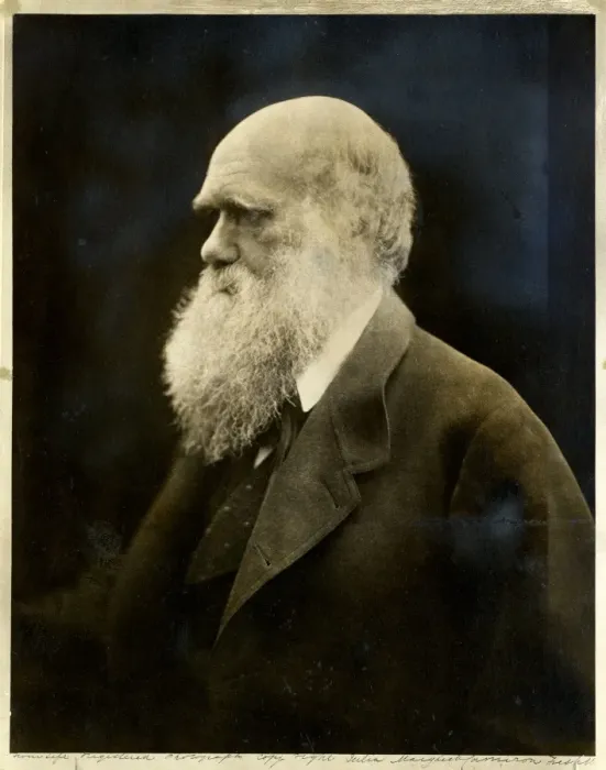 Framed Print : Charles Robert Darwin (1809-1882) Framed Print : Charles Robert Darwin (1809-1882)