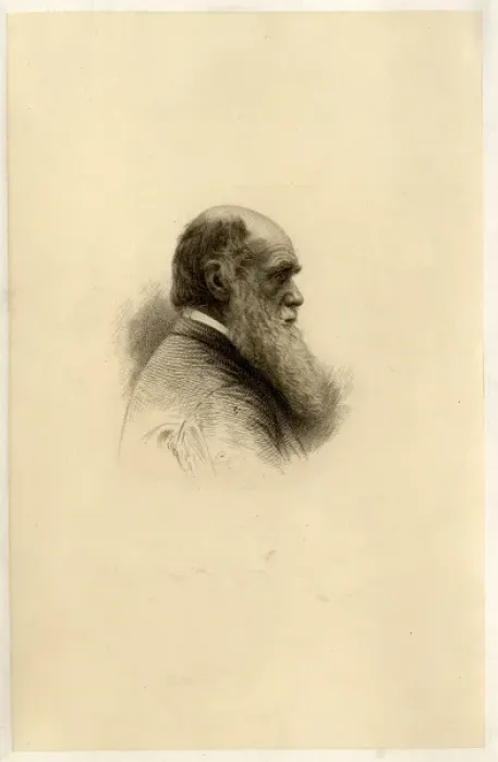 Framed Print : Charles Robert Darwin (1809-1882) Framed Print : Charles Robert Darwin (1809-1882)
