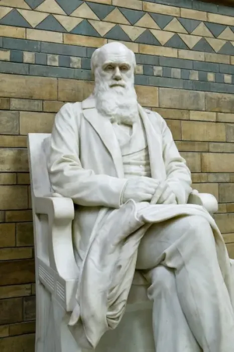 Framed Print : Charles Robert Darwin (1809-1882) Framed Print : Charles Robert Darwin (1809-1882)