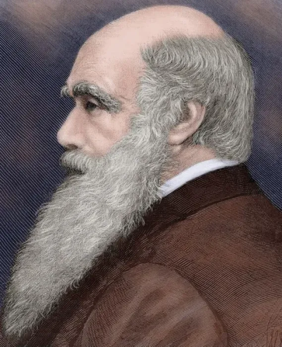 Framed Print : Charles Robert Darwin (1809-1882) British naturalist. Colore Framed Print : Charles Robert Darwin (1809-1882) British naturalist. Colore