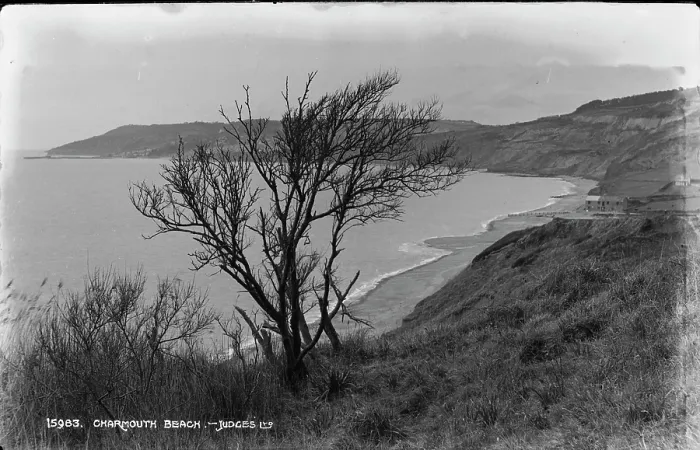 Framed Print : Charmouth Beach View Framed Print : Charmouth Beach View