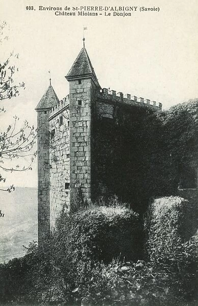 Chateau Miolans, Savoie department, France