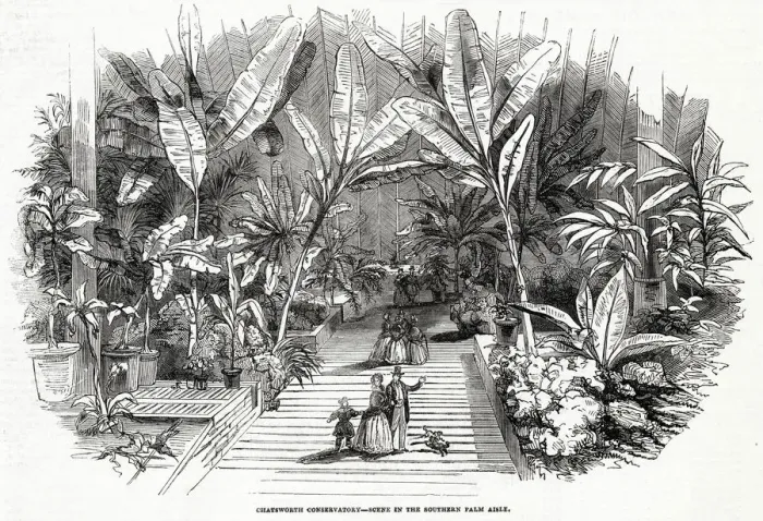 Framed Print : Chatsworth House - Conservatory 1846 Framed Print : Chatsworth House - Conservatory 1846