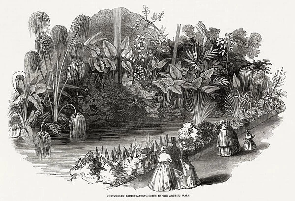 Chatsworth House - Conservatory 1846