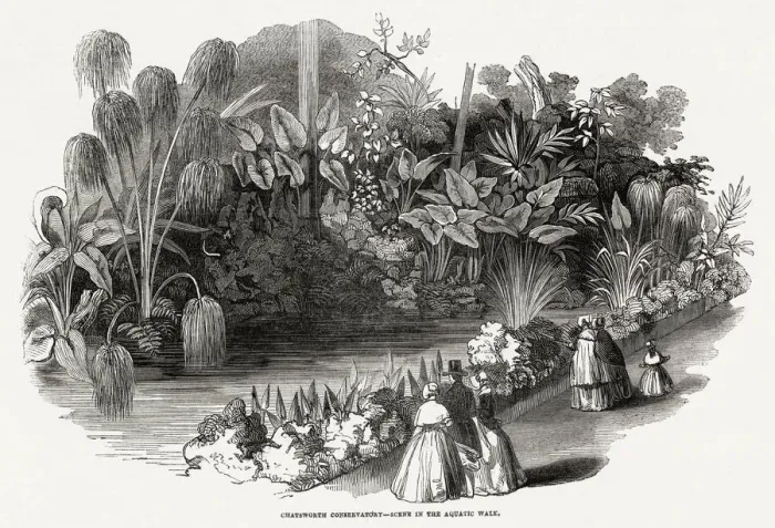 Framed Print : Chatsworth House - Conservatory 1846 Framed Print : Chatsworth House - Conservatory 1846