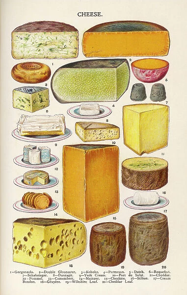 Cheese Selection  /  Beeton