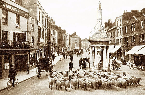 Chelmsford High Street early 1900s