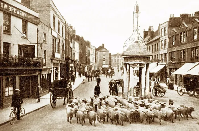 Framed Print : Chelmsford High Street early 1900s Framed Print : Chelmsford High Street early 1900s