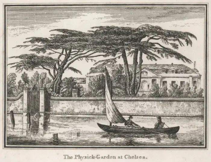 Framed Print : Chelsea Physick Garden Framed Print : Chelsea Physick Garden