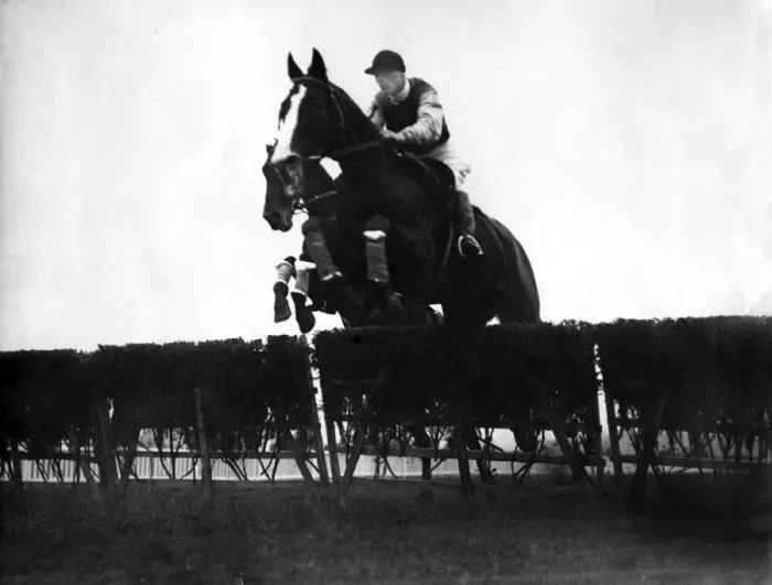Framed Print : Cheltenham Races at Prestbury Park Framed Print : Cheltenham Races at Prestbury Park