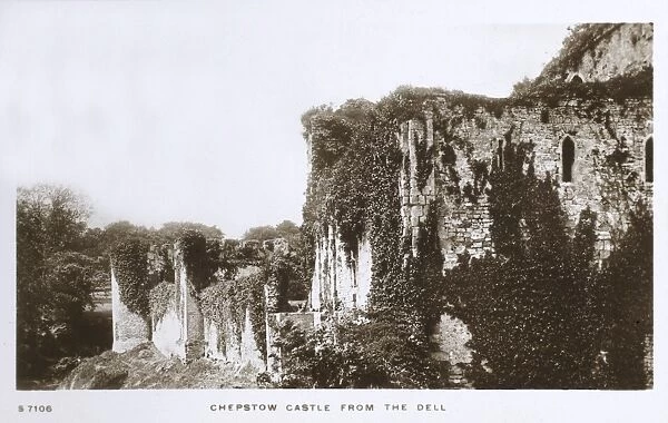Chepstow Castle viewed from the Dell