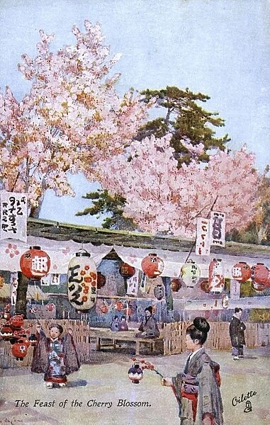 Cherry Blossom Festival - Japan
