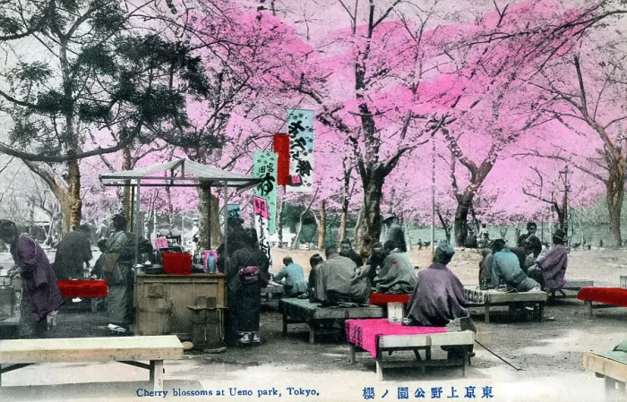 Framed Print : Cherry Blossoms at Ueno Park, Tokyo Framed Print : Cherry Blossoms at Ueno Park, Tokyo
