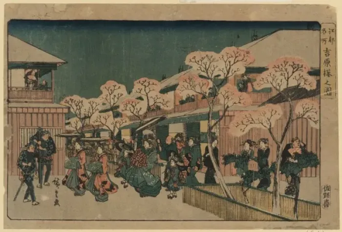 Framed Print : Cherry blossoms of Yoshiwara Framed Print : Cherry blossoms of Yoshiwara