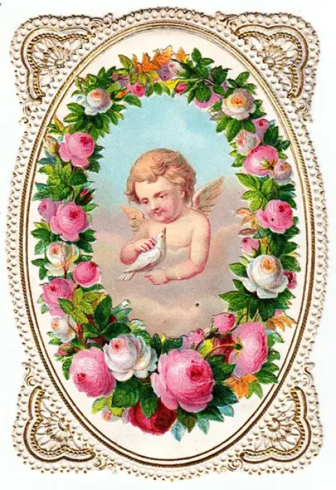 Framed Print : Cherub with dove and pink roses on a greetings card Framed Print : Cherub with dove and pink roses on a greetings card