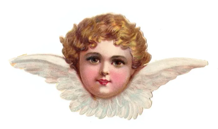 Framed Print : Cherub head with wings on a Victorian scrap Framed Print : Cherub head with wings on a Victorian scrap