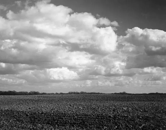 Framed Print : Cheshire Countryside Framed Print : Cheshire Countryside