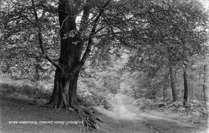 Framed Print : Chevet Woods Pathway Framed Print : Chevet Woods Pathway