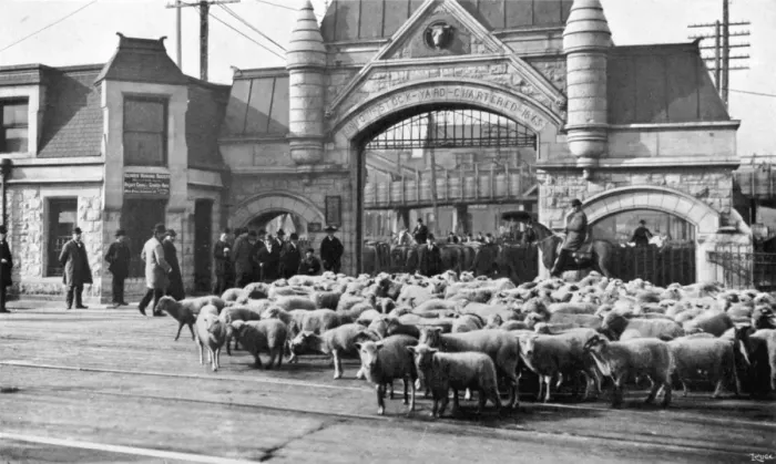 Framed Print : Chicago Stockyards 2 Framed Print : Chicago Stockyards 2