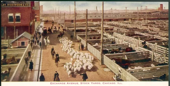 Framed Print : Chicago Stockyards Framed Print : Chicago Stockyards