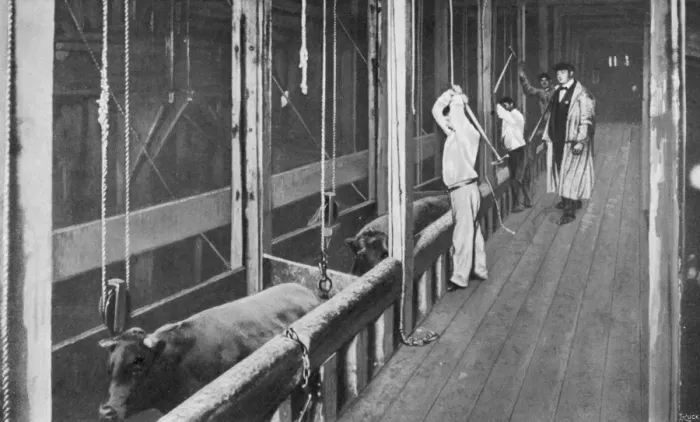 Framed Print : Chicago Stockyards 6 Framed Print : Chicago Stockyards 6