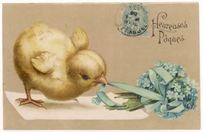 Framed Print : Chick and Posy Framed Print : Chick and Posy