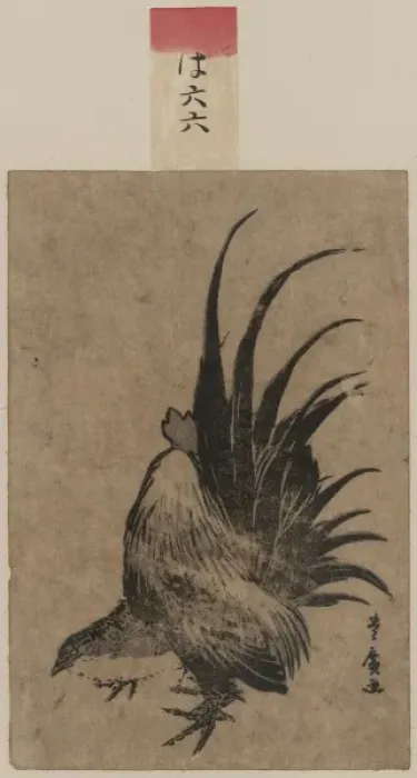 Framed Print : Chicken. Date between 1804 and 1818 Framed Print : Chicken. Date between 1804 and 1818