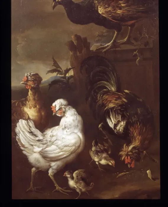 Framed Print : Chickens, Game Birds