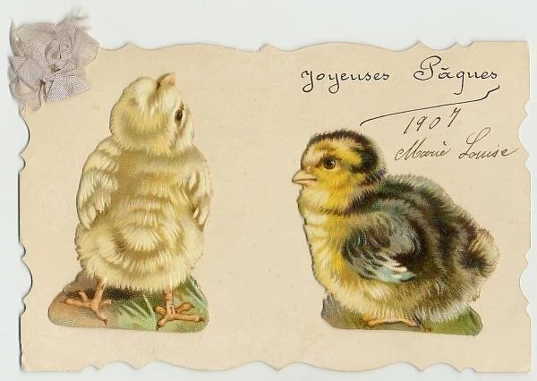 TWO CHICKS. Two chick scraps on a card