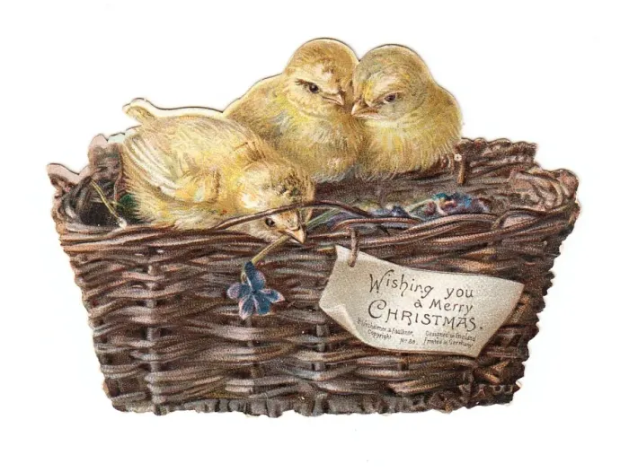 Framed Print : Three chicks in a basket on a cutout Christmas card Framed Print : Three chicks in a basket on a cutout Christmas card