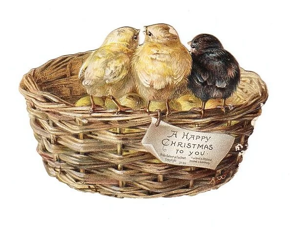 Three chicks on a basket on a cutout Christmas card