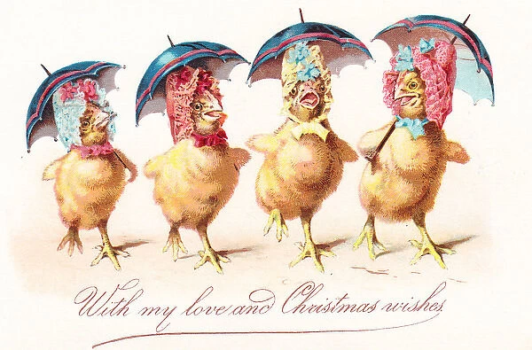 Four chicks in bonnets on a Christmas card