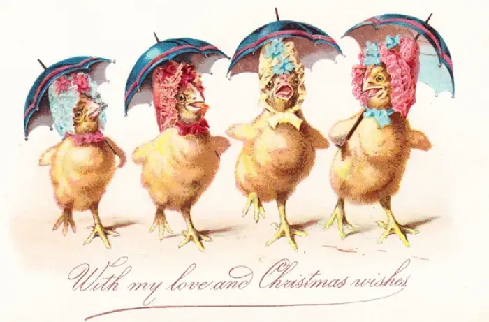 Framed Print : Four chicks in bonnets on a Christmas card Framed Print : Four chicks in bonnets on a Christmas card