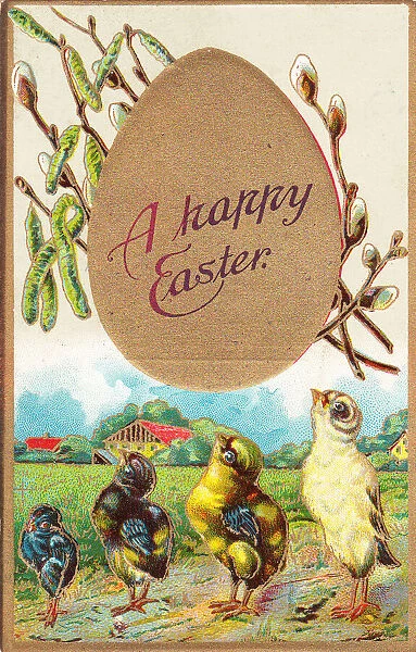 Four chicks on an Easter postcard