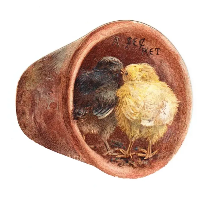 Framed Print : Two chicks in a plantpot on a cutout greetings card Framed Print : Two chicks in a plantpot on a cutout greetings card
