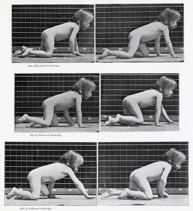 Framed Print : CHILD CRAWLING (sequence of six). Date: 1887 Framed Print : CHILD CRAWLING (sequence of six). Date: 1887