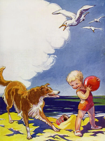 Child, dog & seagulls