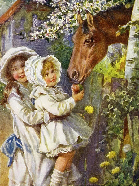 Child feeding a pony