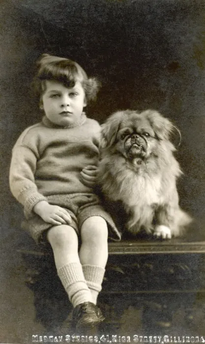 Framed Print : CHILD WITH PEKINGESE Framed Print : CHILD WITH PEKINGESE