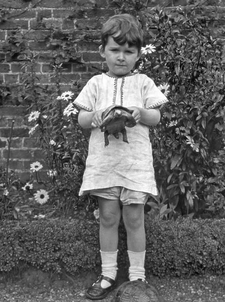 Child with two tortoises in a garden