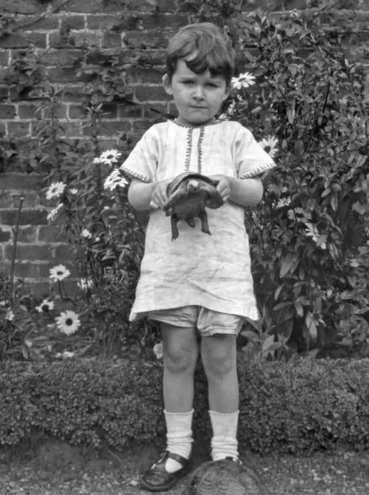 Framed Print : Child with two tortoises in a garden Framed Print : Child with two tortoises in a garden