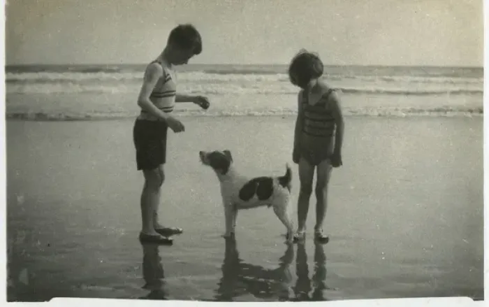 Framed Print : Two children on beach with dog Framed Print : Two children on beach with dog