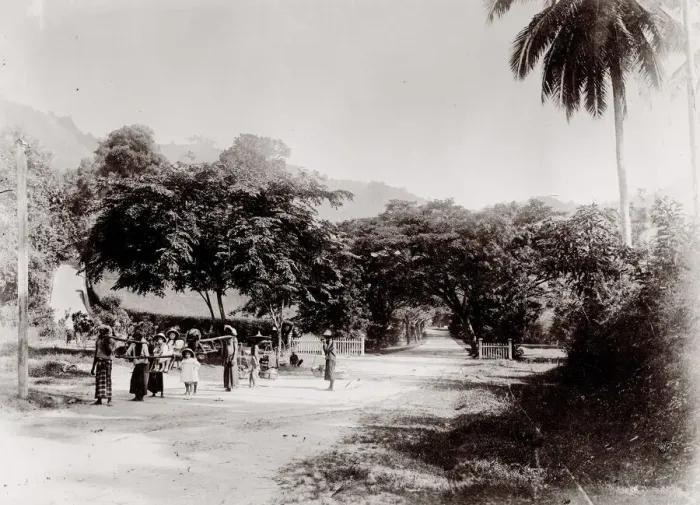 Framed Print : Children being carried in a sedan chair, Singapore Framed Print : Children being carried in a sedan chair, Singapore