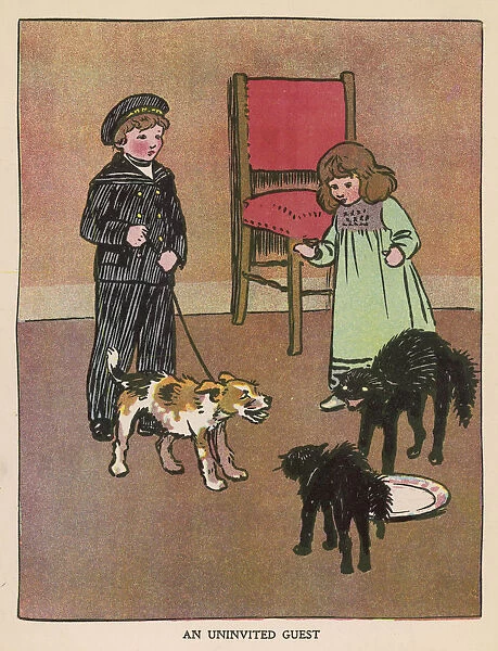 Children, Cats & Dog