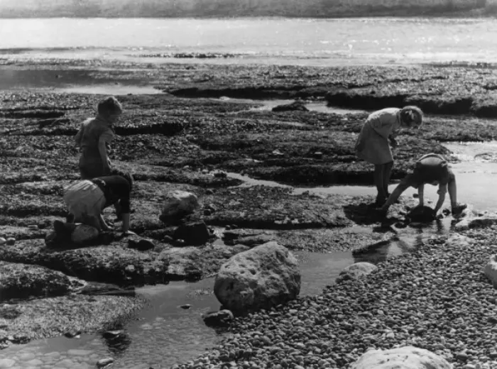 Framed Print : Children Crabbing Framed Print : Children Crabbing